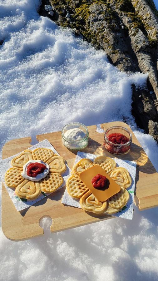 Haramsoy Holiday Apartment- Island Life North エクステリア 写真